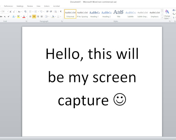 Screen capture of a word document