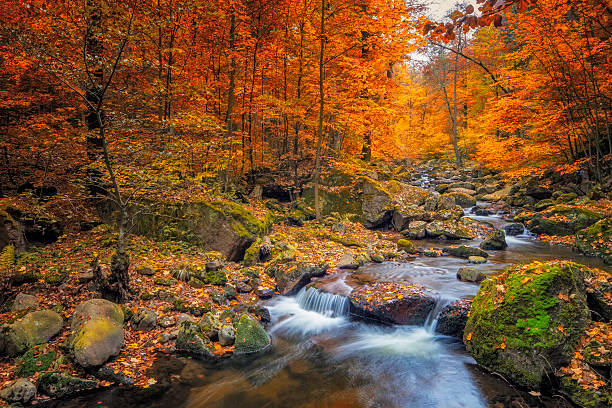 Fall foliage landscape with running river
